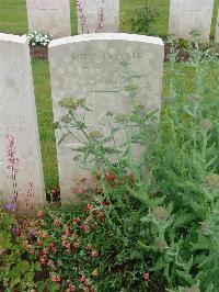 Etaples Military Cemetery - Gaylor, G