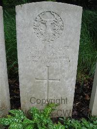 Etaples Military Cemetery - Haggarty, P