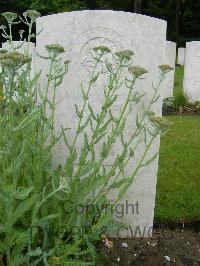 Etaples Military Cemetery - Hedley, T