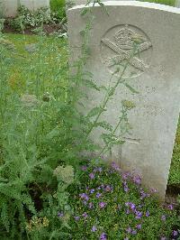 Etaples Military Cemetery - Holton, W