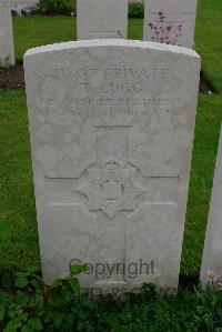 Etaples Military Cemetery - Lugg, T