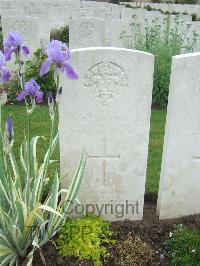Etaples Military Cemetery - Martin, D