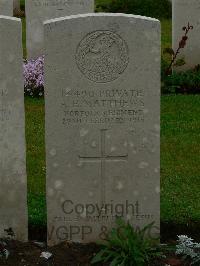 Etaples Military Cemetery - Matthews, Alfred Edward