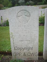 Etaples Military Cemetery - McFadyen, James