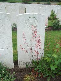 Etaples Military Cemetery - McGrath, William John