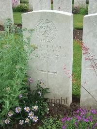 Etaples Military Cemetery - McGuire, James