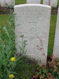 Etaples Military Cemetery - Miller, Henry Robert