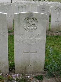 Etaples Military Cemetery - Newell, William
