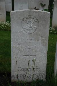 Etaples Military Cemetery - Paintin, Phillip James