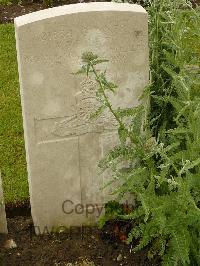 Etaples Military Cemetery - Pellett, William