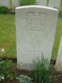 Etaples Military Cemetery - Pender, William