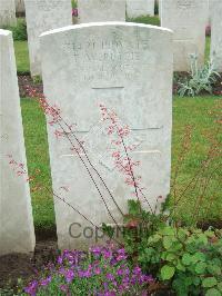 Etaples Military Cemetery - Petrie, Fenton Webster