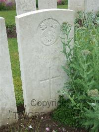 Etaples Military Cemetery - Riddell, D