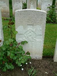 Etaples Military Cemetery - Shackleton, Walter