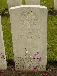 Etaples Military Cemetery - Shepley, Harry