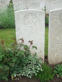 Etaples Military Cemetery - Steven, P