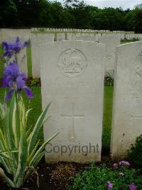 Etaples Military Cemetery - Tonks, William Henry