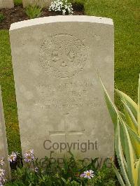 Etaples Military Cemetery - Webb, Fred Beazley