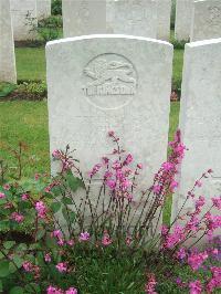 Etaples Military Cemetery - Whittle, Herbert