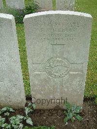 Etaples Military Cemetery - Williams, Frederick