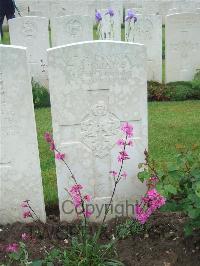 Etaples Military Cemetery - Williams, T