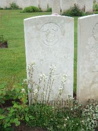 Etaples Military Cemetery - Williams, William