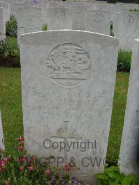 Etaples Military Cemetery - Williams, William John