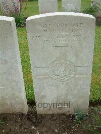 Etaples Military Cemetery - Wilson, Harold