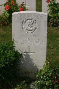Tincourt New British Cemetery - Hannam, P W