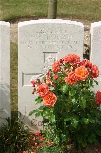 Tincourt New British Cemetery - McDougall, D