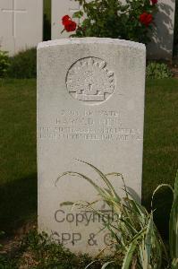 Tincourt New British Cemetery - Ness, Harold