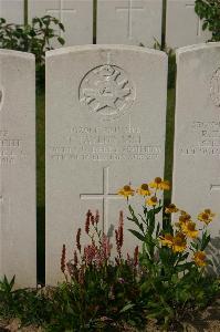 Tincourt New British Cemetery - Taylor, T
