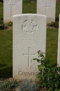 Tincourt New British Cemetery - Willis, Richard