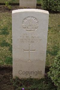 Port Said War Memorial Cemetery - McBeath, Sydney Rupert