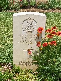 Medjez-El-Bab War Cemetery - Allinson, Alfred