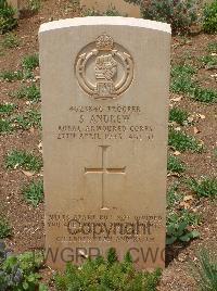 Medjez-El-Bab War Cemetery - Andrew, Sydney