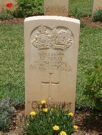 Medjez-El-Bab War Cemetery - Bailey, John F.