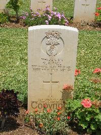 Medjez-El-Bab War Cemetery - Ball, Walter