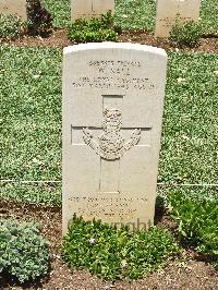 Medjez-El-Bab War Cemetery - Ball, William Arthur