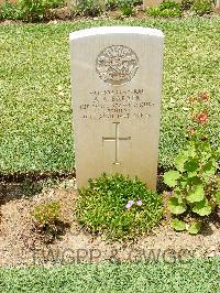 Medjez-El-Bab War Cemetery - Barker, Albert Arthur