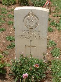 Medjez-El-Bab War Cemetery - Barrell, Cecil Winfrey