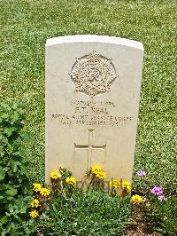 Medjez-El-Bab War Cemetery - Beal, Frank