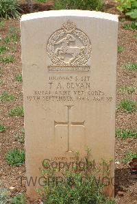 Medjez-El-Bab War Cemetery - Bevan, Thomas Austin