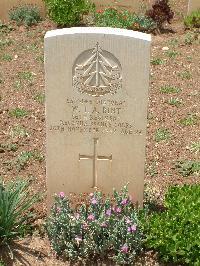 Medjez-El-Bab War Cemetery - Bint, William Thomas Albert
