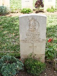 Medjez-El-Bab War Cemetery - Bishop, William Edward John