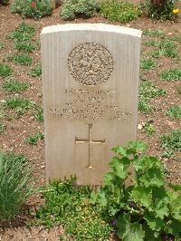 Medjez-El-Bab War Cemetery - Bole, Alexander