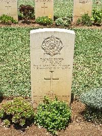 Medjez-El-Bab War Cemetery - Bridle, Frederick John