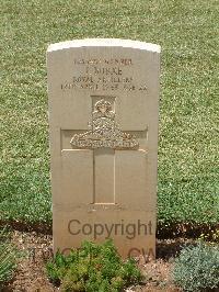 Medjez-El-Bab War Cemetery - Burke, James