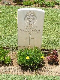 Medjez-El-Bab War Cemetery - Cahill, William