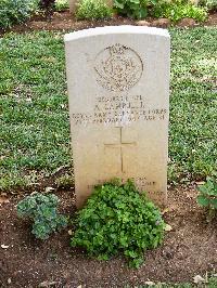 Medjez-El-Bab War Cemetery - Campbell, Arthur